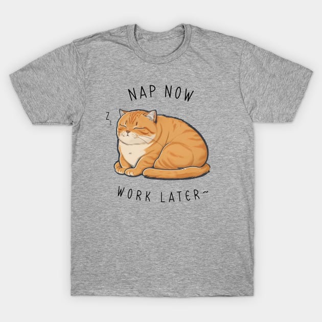 NAP NOW SLEEP LATER CAT T-Shirt by Shirtsy